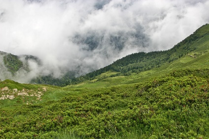 Bergfest - nach der heutigen Etappe haben wir die Hälfte der Strecke des Pyrenäen Wanderwegs hinter uns gebracht.
