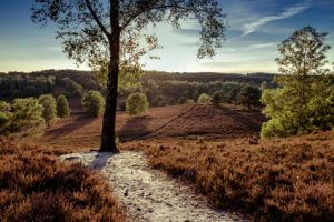 Natur Natur