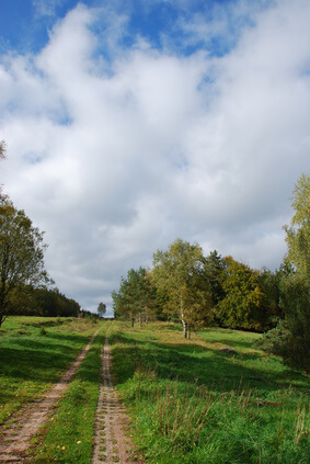 Etappe 15 Kammweg - das Schutzgebiet Grünes Band