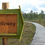 Hochrhöner Etappe 4 - über den Holzweg geht es nach Birx. zum Ziel der Etappe