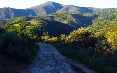 Reisebericht: Wandern auf dem Jakobsweg