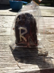 Der Rennsteig von Hörschel nach Blankenstein