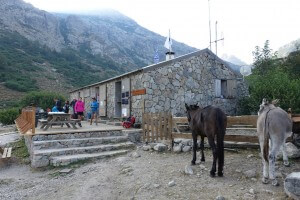 Fernwanderweg GR 20 auf Korsika. 7. Etappe vom Refuge de Manganu zum Refuge de Petra Piana