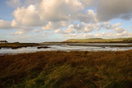 Etappe 13 Pembrokeshire Coast Path Pwell Deri Goodwick