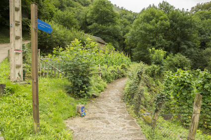 Start der Jakobsweg Spanien Etappen. Der Jakobsweg Camino Francés