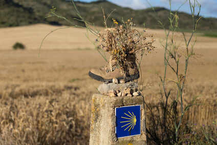 Der Weg nach Villadangos del Páramo, Ziel der 20. Etappe des Jakobswegs, dem Pilgerweg in Spanien.