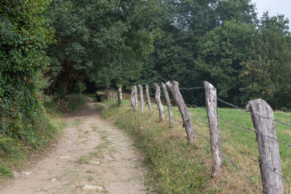 Sarria - die Etappen auf der Jakobsweg Karte werden immer weniger. Der Pilgerweg in Spanien neigt sich dem Ende zu.