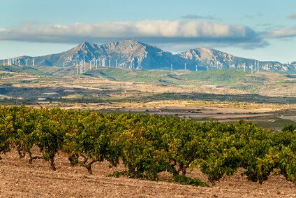 7. der Etappen des Jakobsweg Spanien. Der Weg nach Logrono.