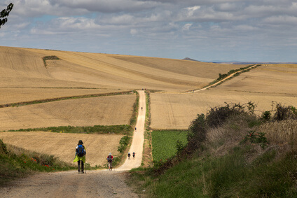 9. Etappe des Jakboswegs nach Santo Domingo de la Calzada, Ein weiterer Punkt auf der Route Jakbosweg Spanien.