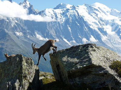 Mitwanderer auf der 9. Etappe der Tour du Mont Blanc
