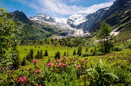 Wanderbericht: Die Tour du Mont Blanc