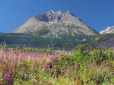 Das Ziel der 2. Etappe der Tatra-Überschreitung, das Schlesierhaus.