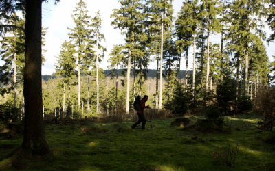 Wanderbericht: Der Rennsteig im Thüringer Wald von Hörschel nach Blankenstein