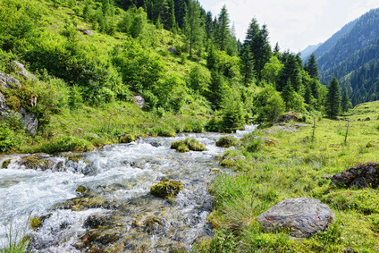 Wanderbericht: Der Goldsteig