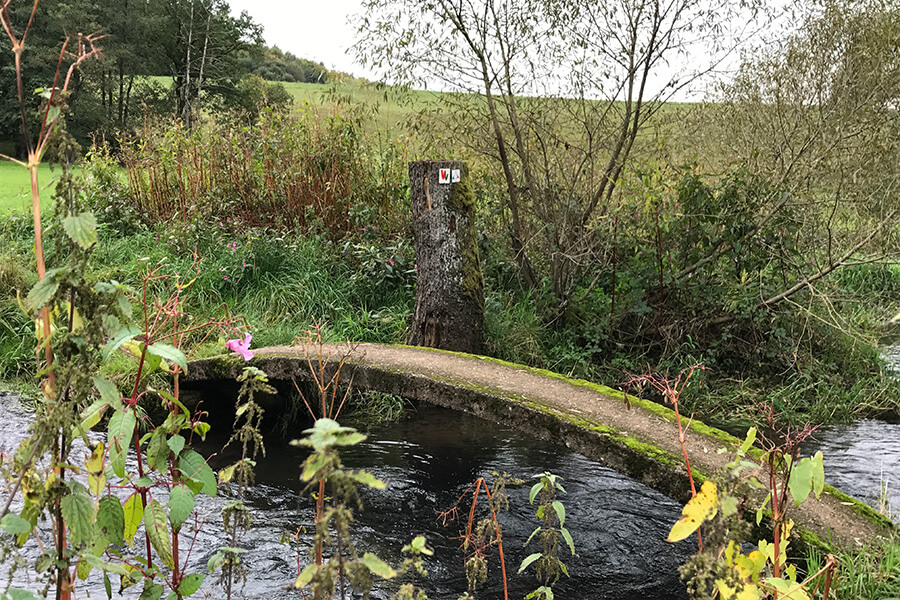 Extratour Vogelsberg – Naturtour