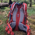 Tragesystem des Deuter Trail Pro 36