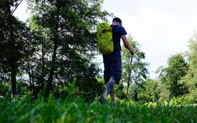 Trekkingstock Ratgeber: Worauf kommt es an?