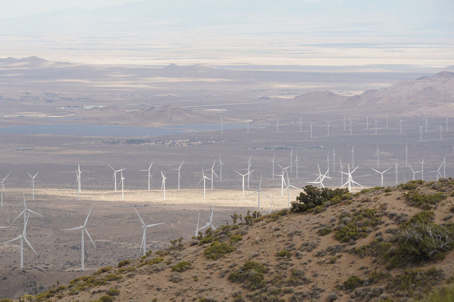 Unglaublich viele Windmühlen beim Blick zurück nach Mojave