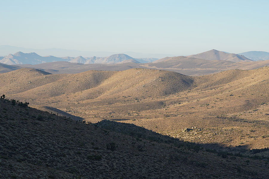 Wüstenlandschaft in der Mojave