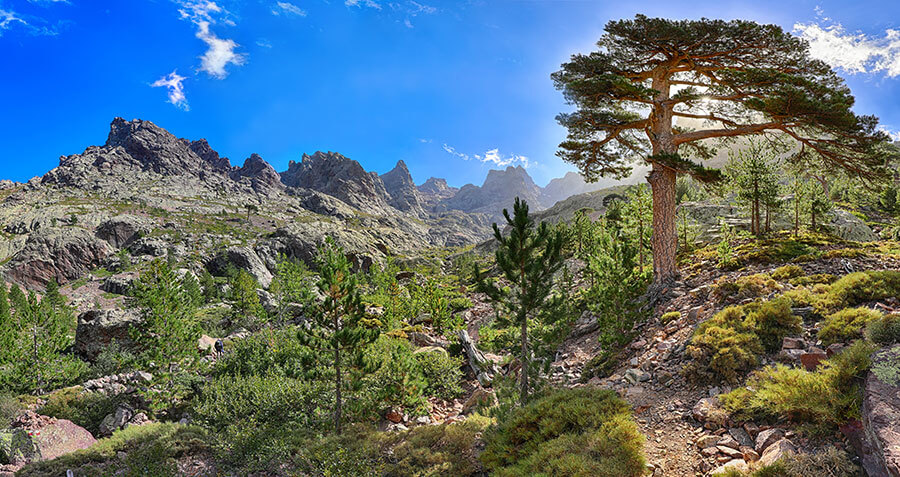 Berglandschaft auf Korsika