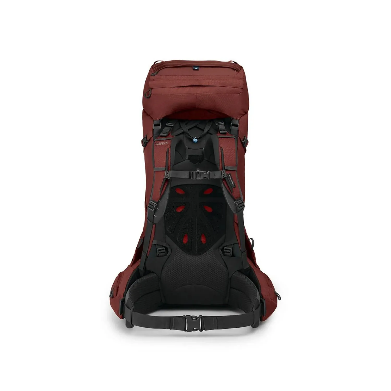 aether55_s25_back_deepacornred.jpg