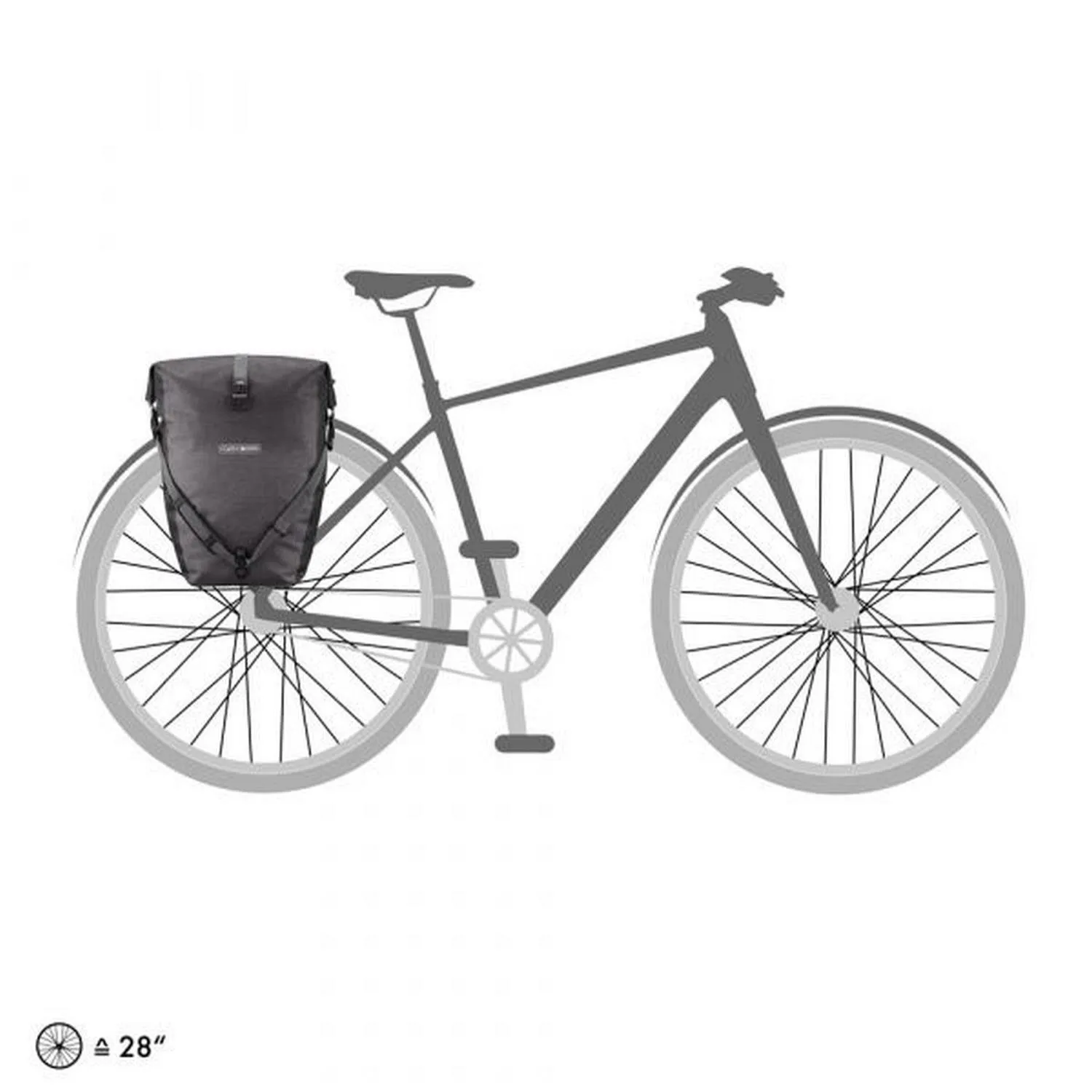 back-roller-plus_f5204_avatar.jpg