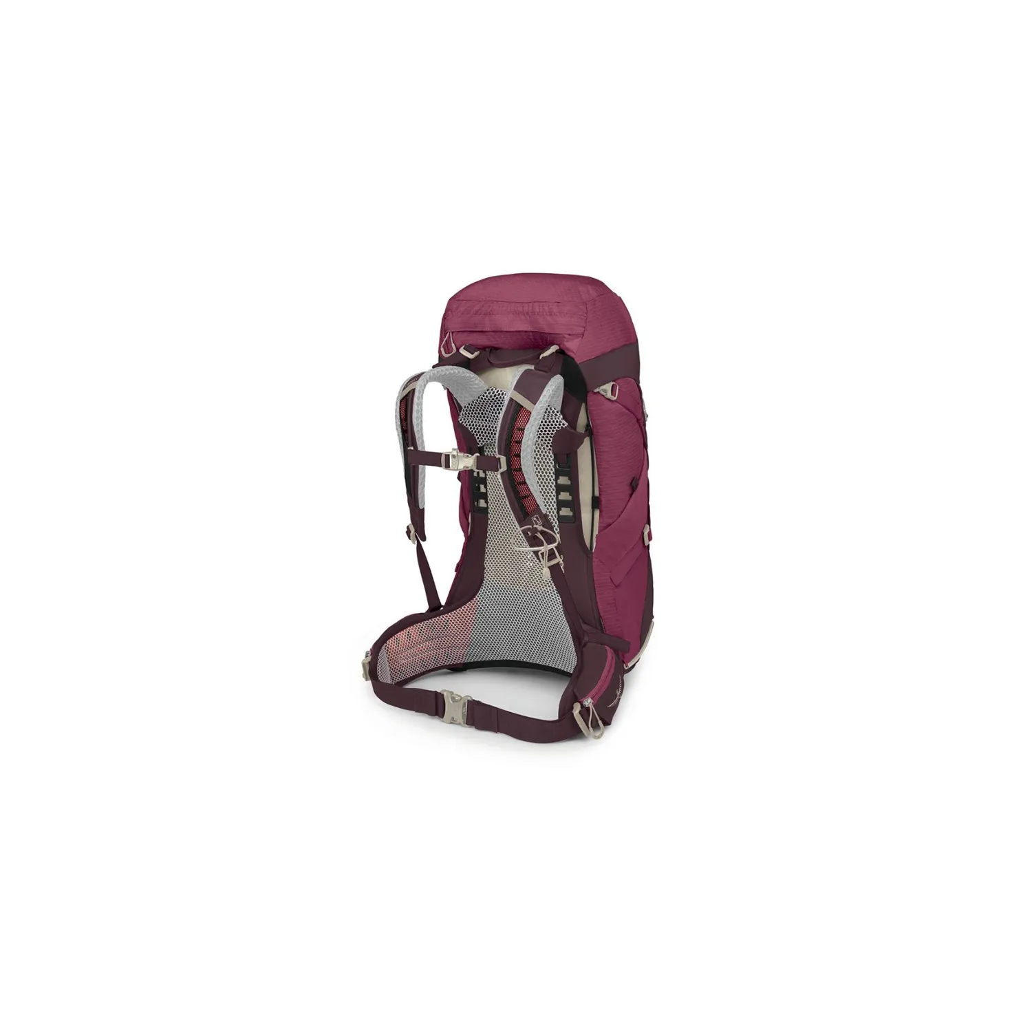 _0000_s24_sirrus36_elderberrypurplechirutan_10005787_4_web.jpg
