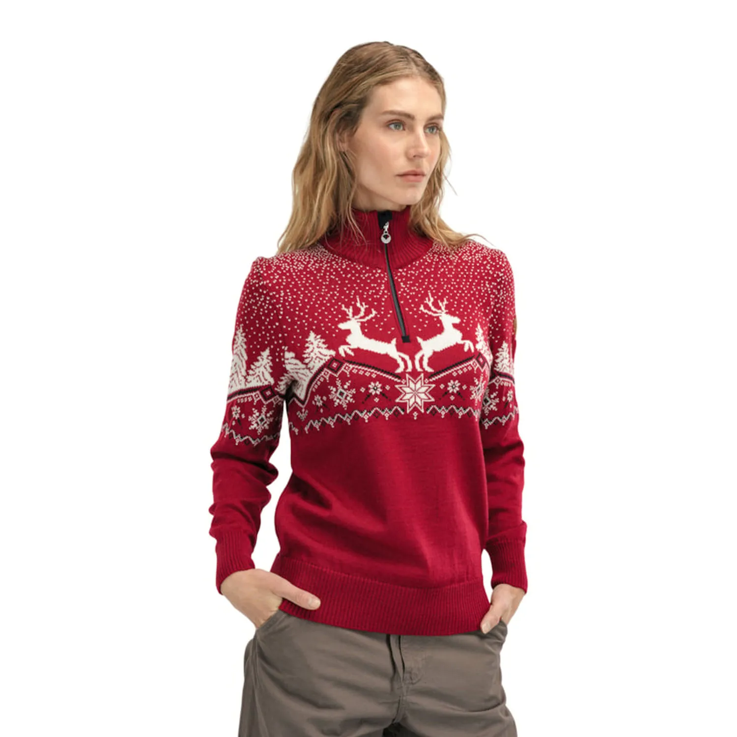 93921_b_dale_christmas_fem_sweater-224.jpg