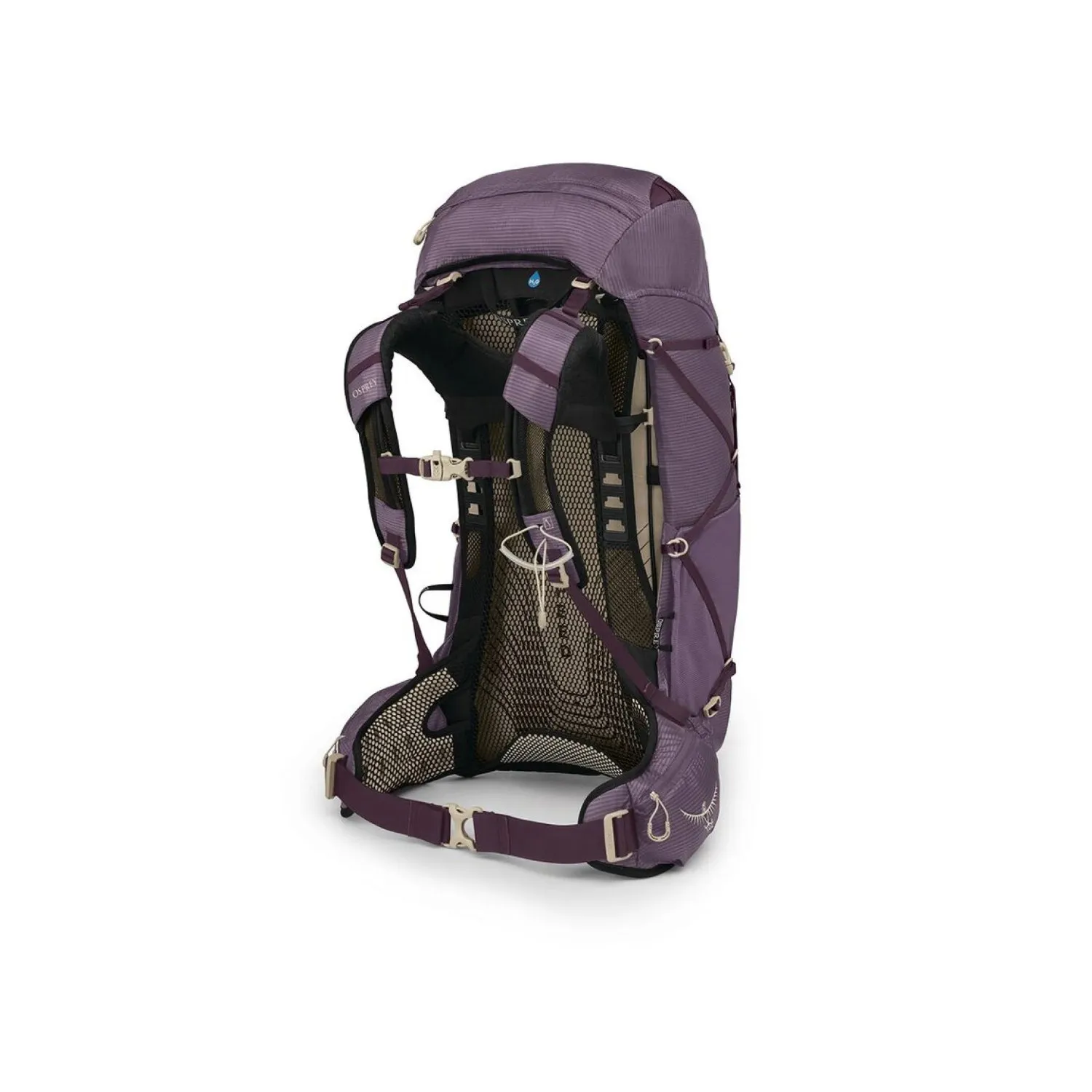 eja38_s25_sideback_purpledusk.jpg
