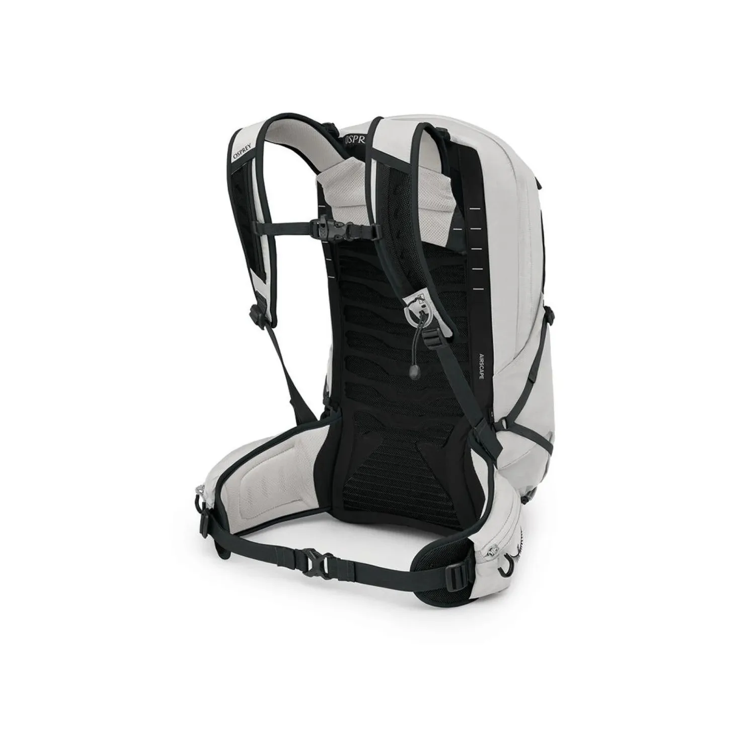 talon22_s25_sideback_whiteblack_1.jpg