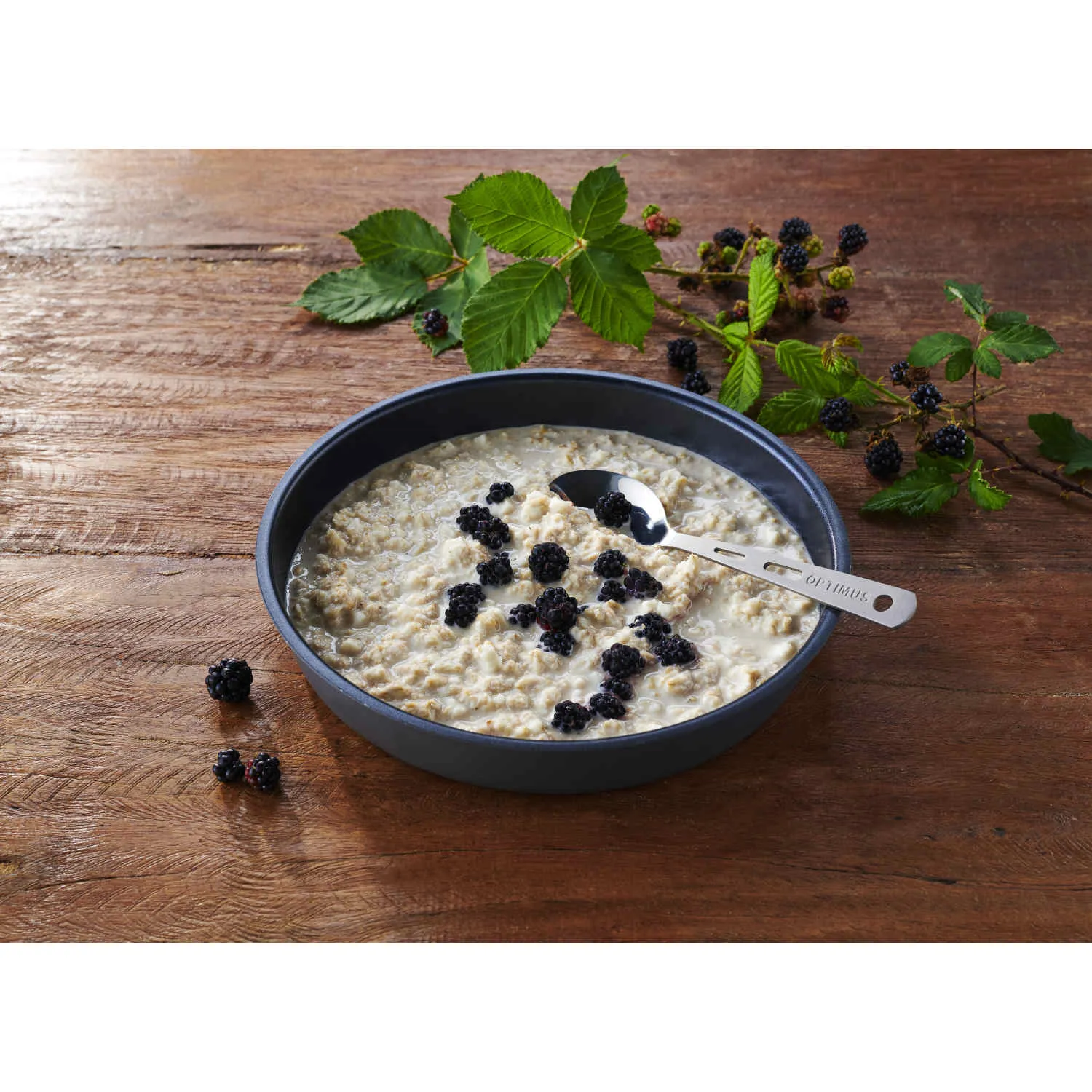 30101007_Protein_Porridge.jpg