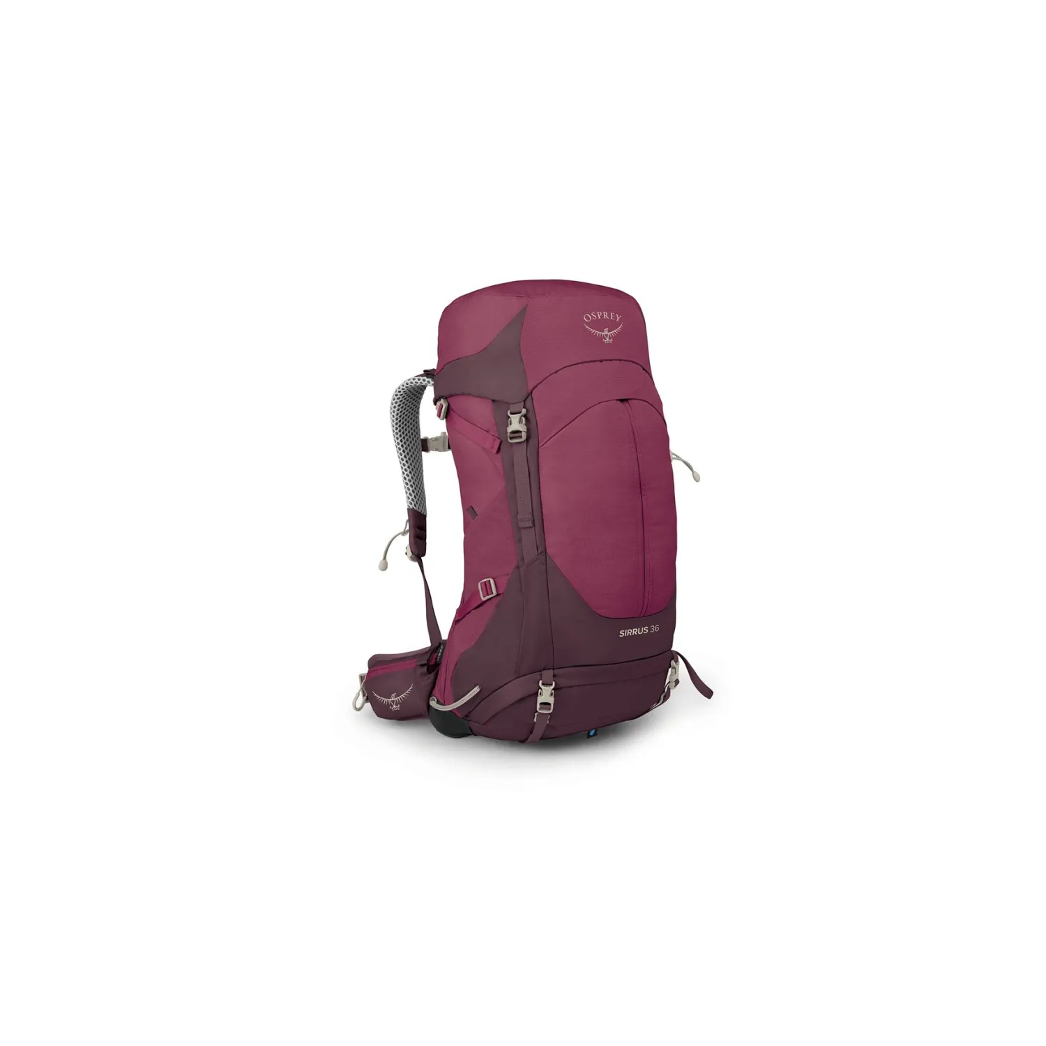 _0002_s24_sirrus36_elderberrypurplechirutan_10005787_2_web.jpg