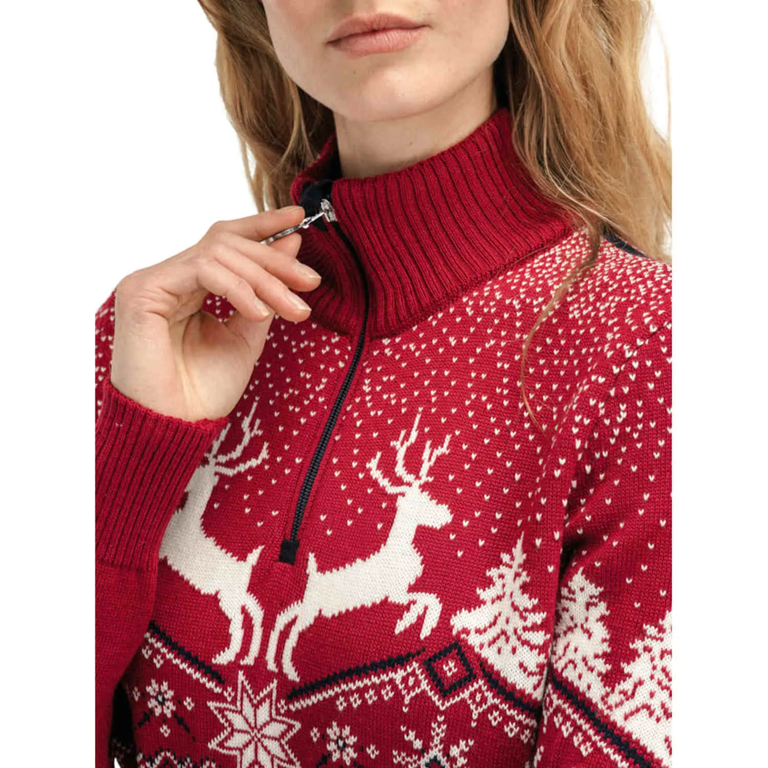 93921_b_dale_christmas_fem_sweater-228.jpg