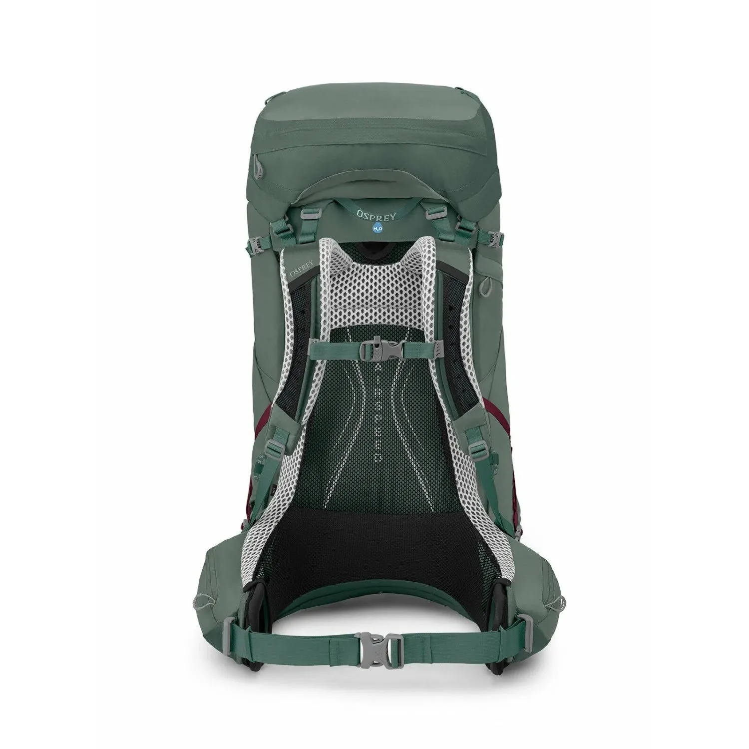 auraaglt65_s23_back_koseretdarjeelingspringgreen.jpg