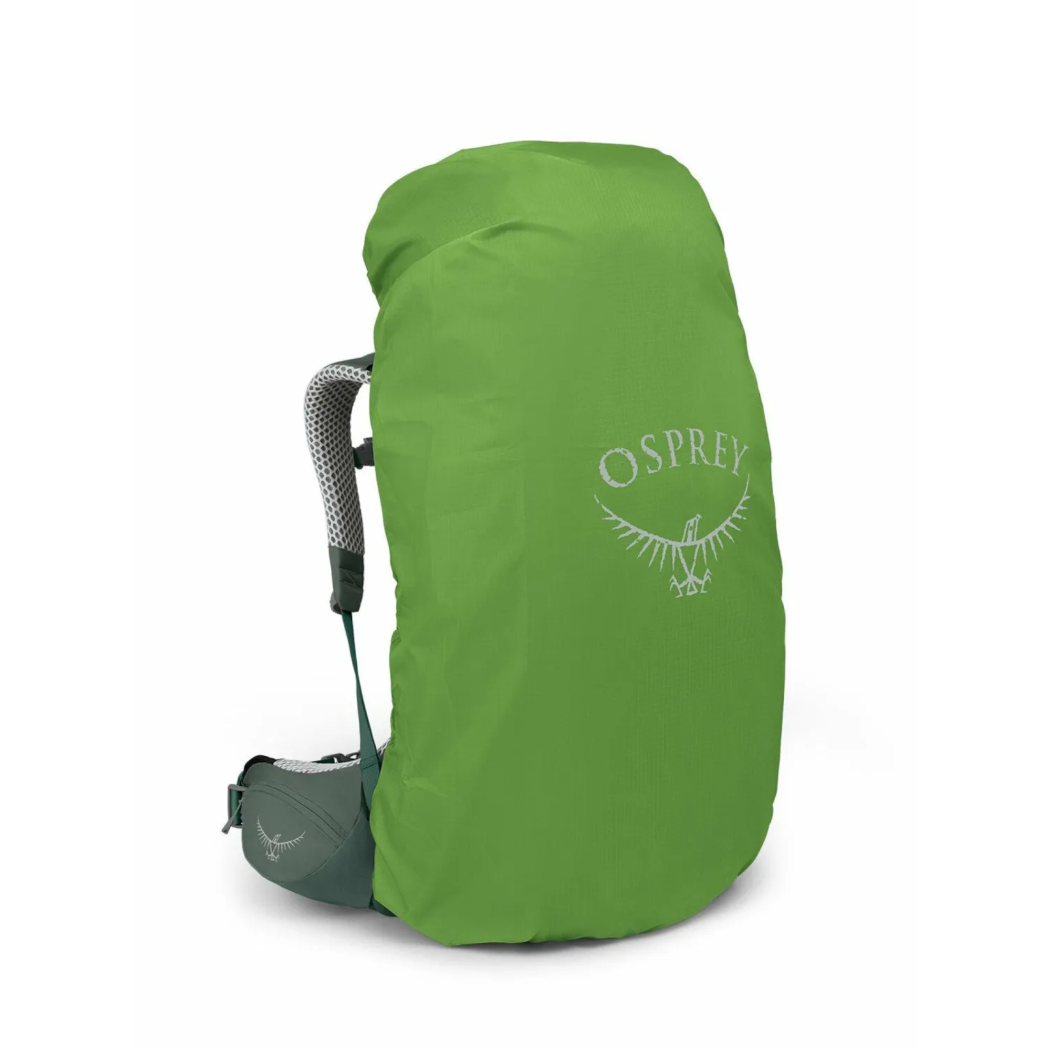 auraaglt65_s23_side2_koseretdarjeelingspringgreen.jpg