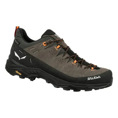Alp Trainer 2 GTX M braun