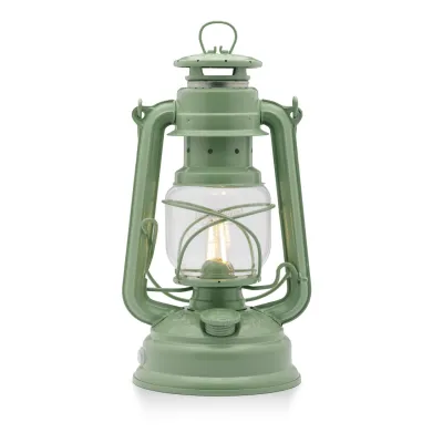 LED Laterne Baby Special 276 grün