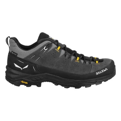 Alp Trainer 2 GTX M grün