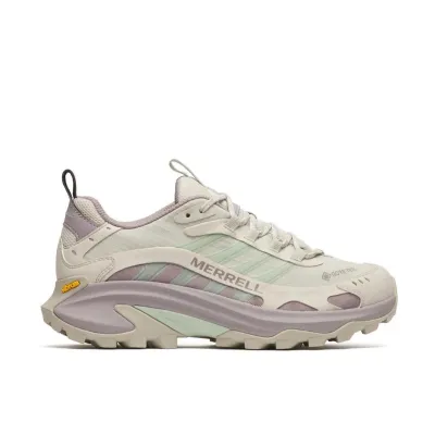 Moab Speed 2 GTX Women grau