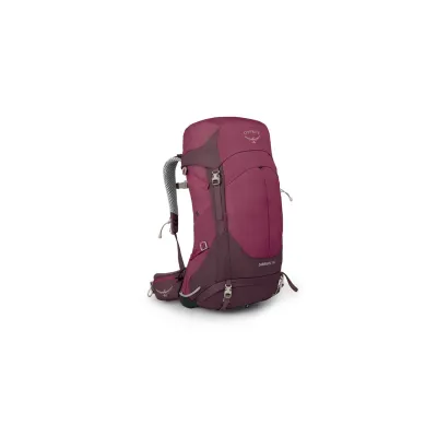 Sirrus 36 lila